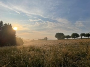 Morgenidylle über den Feldern bei Heckholzhausen